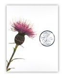 luxushotelfuhrer-fur-schottland