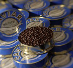 Schokolade Kaviar © Vincent Becker