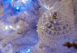 Weihnachten Luxus by Paul Davidson