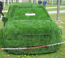 Gras Auto by piqs, Fischkopp