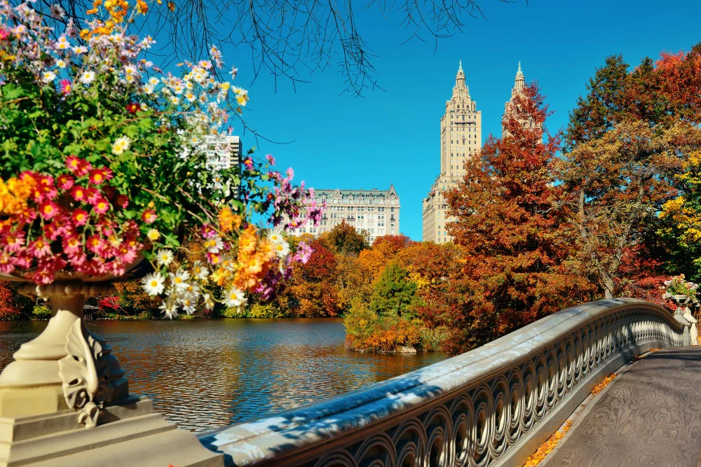 Bow Bridge im Central Park mit herbstlichen Bäumen und Wohngebäuden von Manhattan im Hintergrund