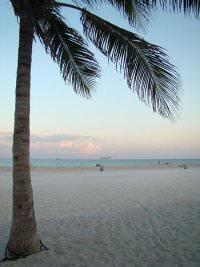 Miami cc by wikimedia/ Andreas Meck cc by wikimedia/ Andreas Meck