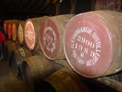 Glenmorangie cc by wikimedia/ Hajotthu cc by wikimedia/ Hajotthu