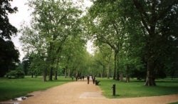 Hyde Park London Quelle: Wikimedia Quelle: Wikimedia
