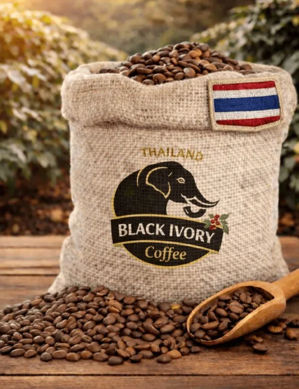 Black-Ivory-Kaffeebohnen aus Thailand in einem Jutesack