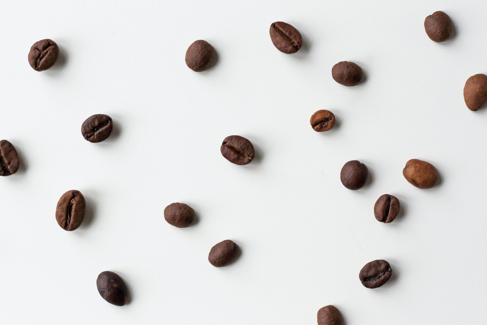 Teuerster Kaffee der Welt Diese 5 Sorten müssen Gourmets kennen