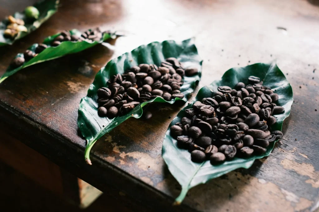 Ger&ouml;stete Kaffeebohnen liegen auf gr&uuml;nen Kaffeebl&auml;ttern