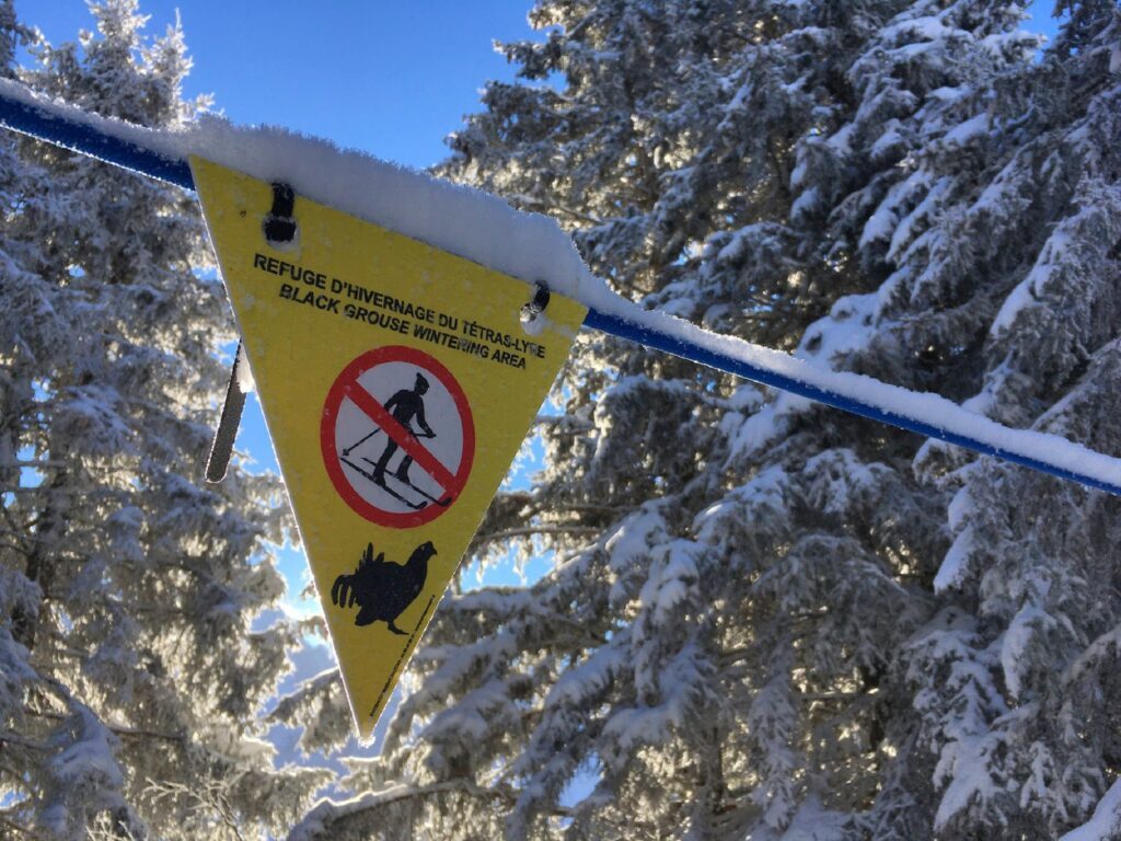 Charmonix Naturschutzgebiet Skigebiet