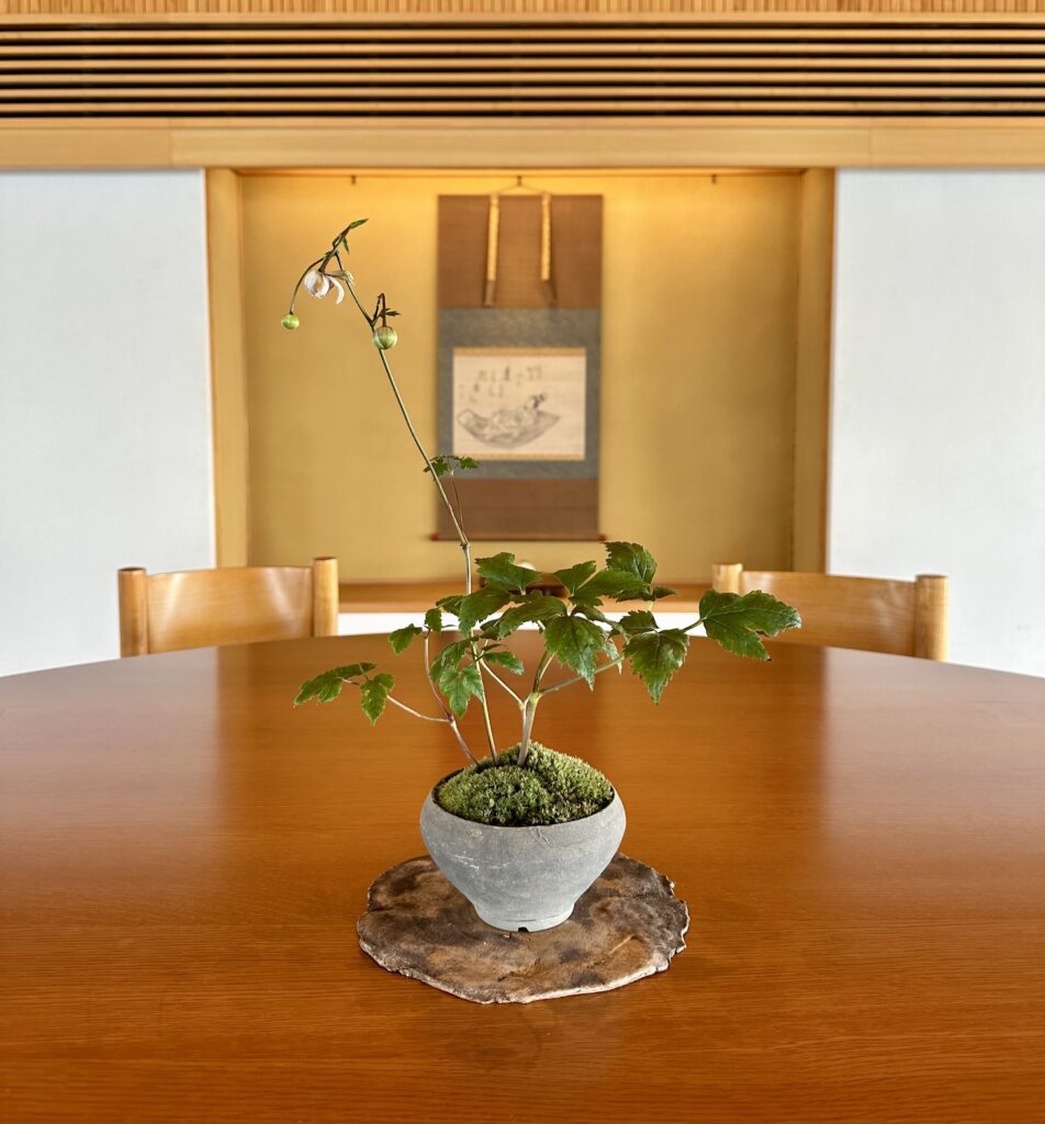 Fine Dining Guntû Luxury Japanese Cruise Ship