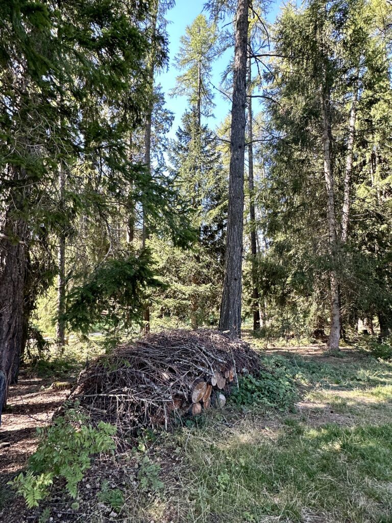 Biodiversität im Golf Club Crans-sur-Sierre