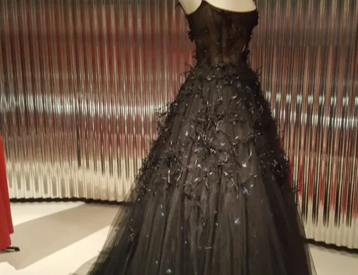 Von SpiritedMichelle - Eigenes Werk, CC BY-SA 4.0, Link