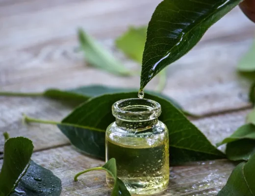 Matcha-Parfum mit grünen Teeblättern und Duftöl – Symbolbild für die Duftnote Matcha in Parfums