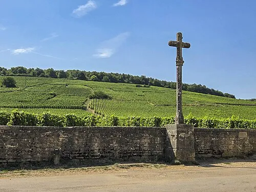 Weinberg Romanée-Conti in Vosne-Romanée im Burgund – Herkunft des teuersten Rotweins der Welt