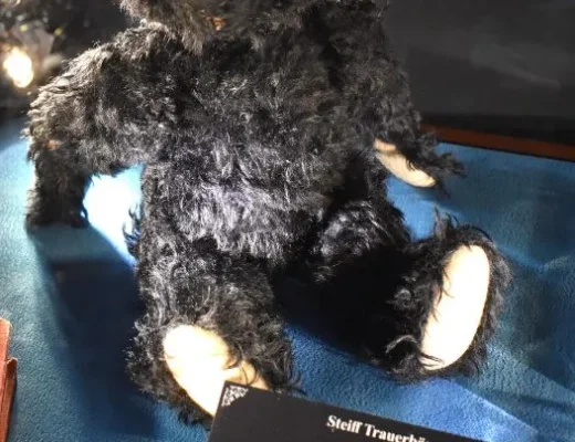 Ein schwarzer Teddybär mit einem Schild