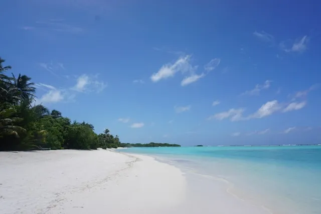 Weißer Sandstrand auf Mauritius mit türkisfarbenem Wasser, tropischer Vegetation und wolkenlosem Himmel.