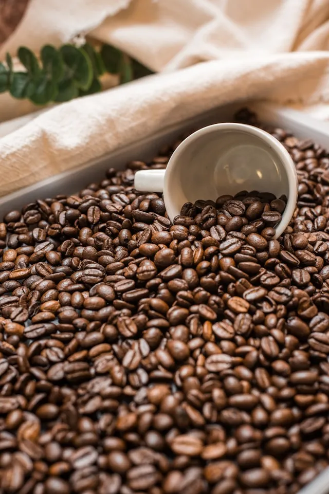 Geröstete Kaffeebohnen mit einer weißen Tasse