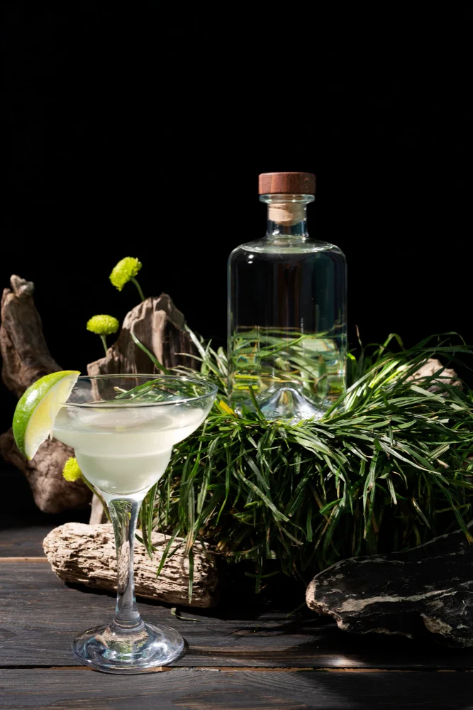 Gin-Flasche neben einem Gin-Cocktail mit Limettenspalte, Kräutern und Holz auf dunklem Hintergrund
