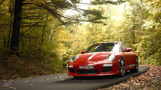 Ein roter Porsche 911 GT3 auf einer Landstraße in einem herbstlichen Wald.